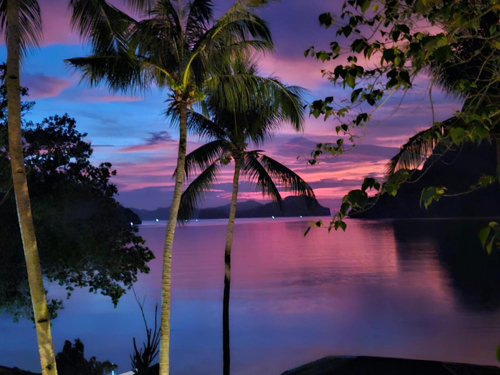 Golden Monkey Beach Hotel Эль-Нидо Экстерьер фото